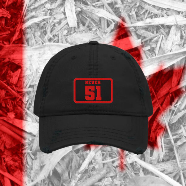 Never 51 Embroidered Hats